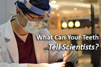 San Antonio dentist, Dr. Williamsom at Mark J. Williamson, DDS, tells patients what kind of information scientists have discovered by studying fossil teeth.