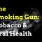 The Smoking Gun: Tobacco & Oral Health (featured image)